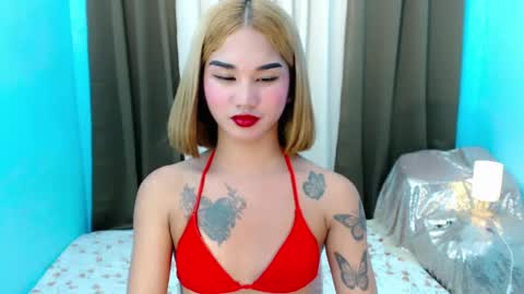 LILY online show from 23, 5, 2026