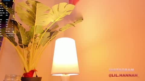 Snapshot of lil_hanna18 chatting on 23, 12, 2024 Hanna online show from 23, 12, 2024