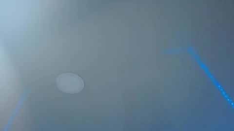 Lisaa online show from 5, 3, 2025