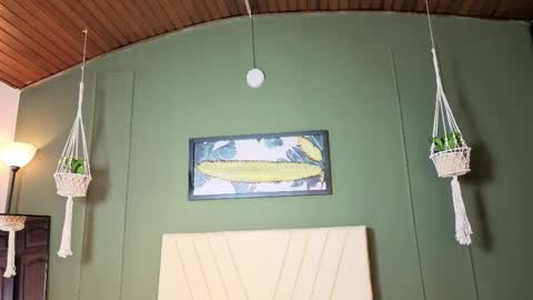 Snapshot of lila_elliot chatting on 20, 12, 2025 Lila online show from 20, 12, 2025