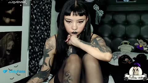   online show from 22, 1, 2025