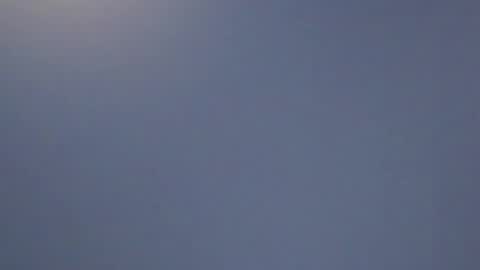 lillie_berry online show from 11, 4, 2026