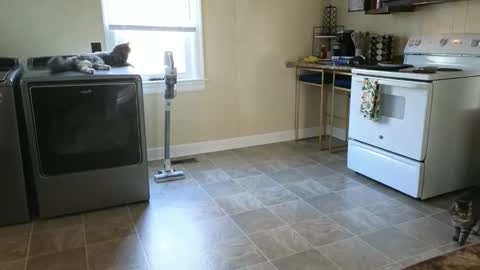 lilly_adams88 online show from 21, 3, 2026