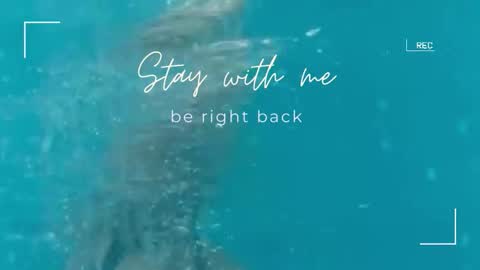 Lily online show from 29, 9, 2025