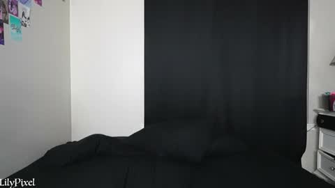 Snapshot of lilypixel chatting on 13, 1, 2025 Liliana Marie Pixelate online show from 13, 1, 2025