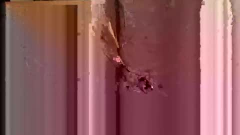 Snapshot of lilythesmooth chatting on 15, 2, 2026 Lilythesmooth online show from 15, 2, 2026