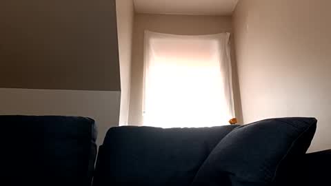 Snapshot of linkutome chatting on 12, 1, 2025 linkutome online show from 12, 1, 2025