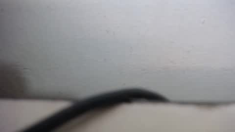 lisa_branch online show from 20, 9, 2025