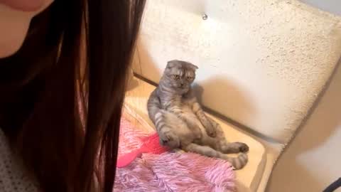 Snapshot of little_anioneta chatting on 7, 10, 2025 Catherine online show from 7, 10, 2025