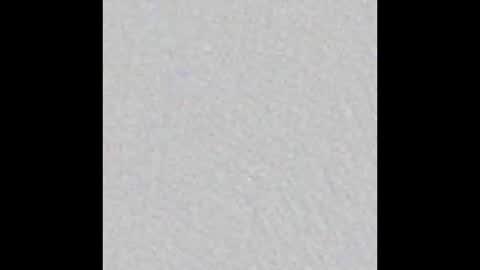 Adaline online show from 15, 2, 2026