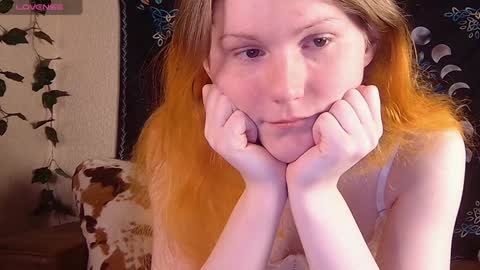 Sofia online show from 8, 12, 2024