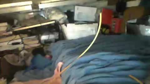 Snapshot of littlejay4773 chatting on 4, 10, 2025 littlejay littlejay online show from 4, 10, 2025