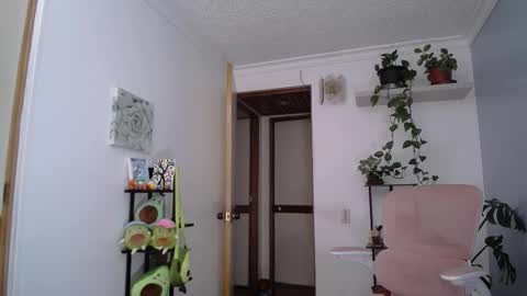 Laksmi online show from 7, 3, 2026