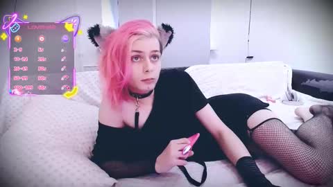 Snapshot of littlepinkcat chatting on 12, 1, 2026 Felix online show from 12, 1, 2026
