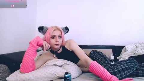Snapshot of littlepinkcat chatting on 18, 4, 2026 Felix online show from 18, 4, 2026
