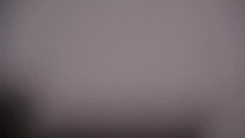 Viki online show from 9, 10, 2025