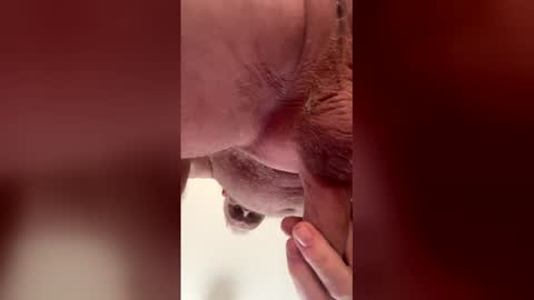 Snapshot of liverpoolfc1986 chatting on 28, 2, 2026 liverpoolfc1986 online show from 28, 2, 2026