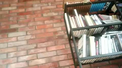 lllukasssxxx online show from 1, 11, 2025