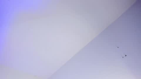 Logan online show from 16, 10, 2025