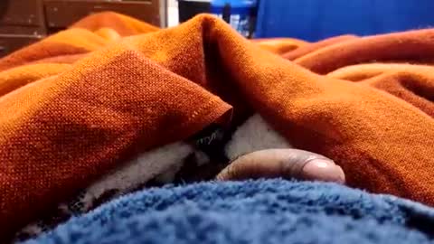 loganncky online show from 5, 3, 2026