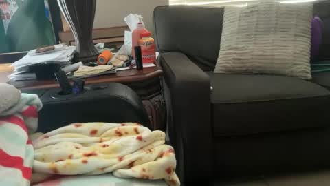 logical12345 online show from 18, 11, 2025