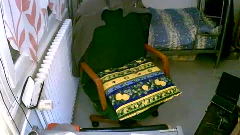 lokoum39 online show from 2, 12, 2024