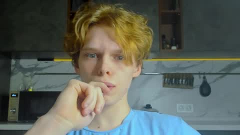 Snapshot of lolnoillimsary chatting on 28, 4, 2026 Nelis online show from 28, 4, 2026