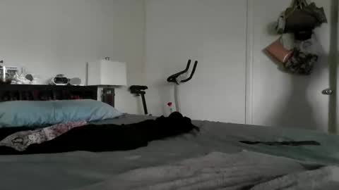 Snapshot of londonmariexxx chatting on 16, 11, 2025 LondonMariexxx online show from 16, 11, 2025