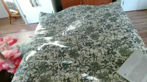 Snapshot of longbowrider555 chatting on 30, 1, 2025 Jeff online show from 30, 1, 2025