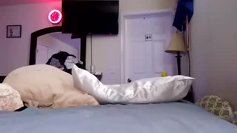 lookatmecum4you online show from 18, 1, 2025