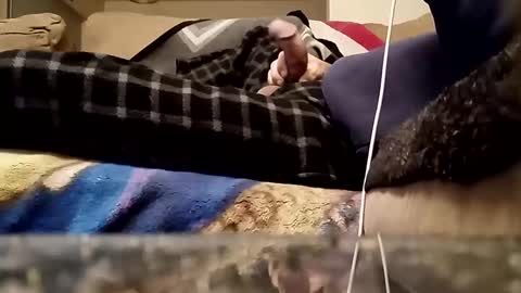 looking4bush online show from 18, 3, 2026