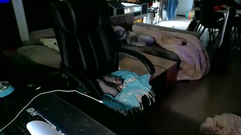 Snapshot of loov2watch chatting on 2, 6, 2026 Mato online show from 2, 6, 2026
