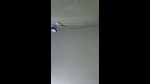 2791 3D online show from 17, 12, 2025