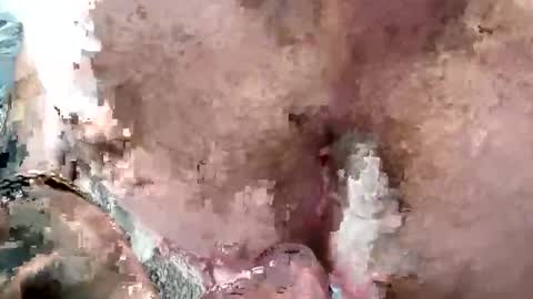 lord47maliby online show from 29, 4, 2026