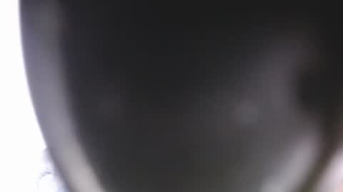 lorexxw online show from 9, 7, 2026