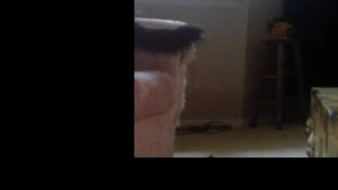 Snapshot of love69bush chatting on 4, 2, 2026 love69bush online show from 4, 2, 2026