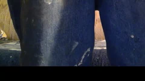 Snapshot of love69bush chatting on 8, 2, 2026 love69bush online show from 8, 2, 2026