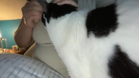 Kate online show from 25, 4, 2026