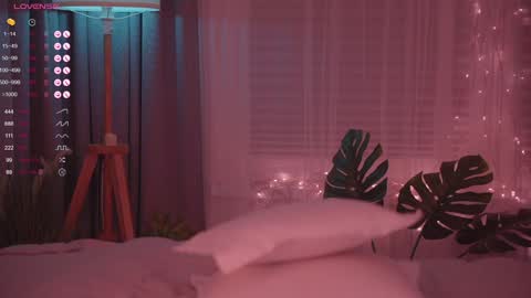 Nelly online show from 25, 12, 2024