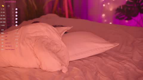 Nelly online show from 8, 2, 2025