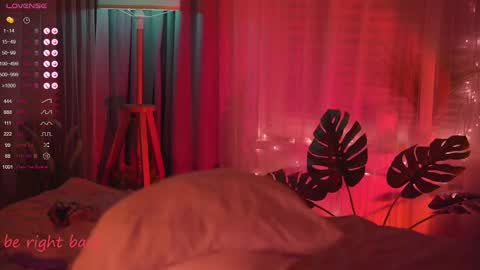 Nelly online show from 25, 2, 2025