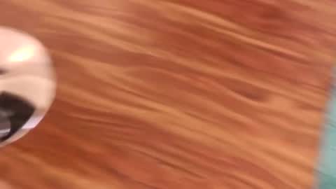 Snapshot of lovingcouple1969 chatting on 7, 2, 2026 lovingcouple1969 online show from 7, 2, 2026