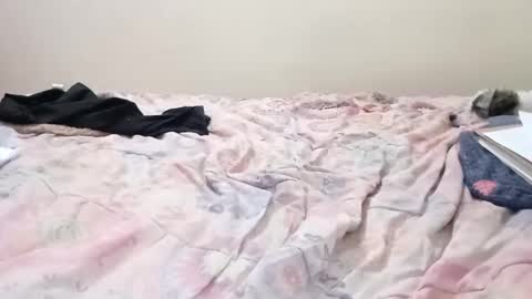 Snapshot of luanapowerful chatting on 11, 2, 2025 luanapowerful online show from 11, 2, 2025