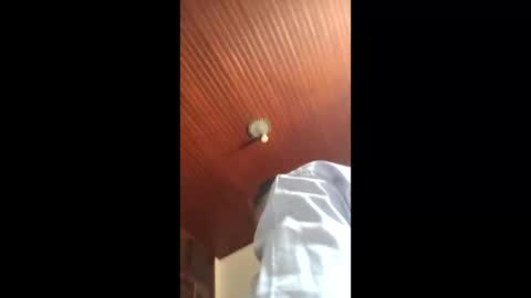 lucas online show from 16, 1, 2026