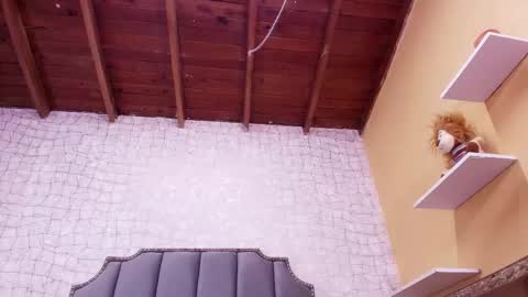 Lucero W online show from 4, 3, 2025