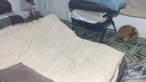 lucifer_curious online show from 12, 2, 2026