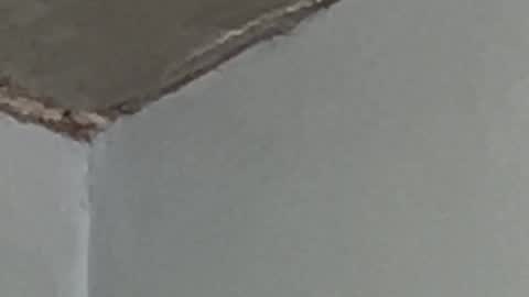 Snapshot of lucifermorningstar94 chatting on 17, 9, 2025 Lucien online show from 17, 9, 2025