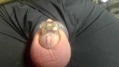 Snapshot of lucky_cuck chatting on 2, 1, 2025 Lucky Cuck online show from 2, 1, 2025