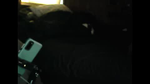 Snapshot of luckyblondecouple chatting on 9, 12, 2024 LuckyBlondeCouple online show from 9, 12, 2024