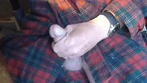 Snapshot of luckypirateboy chatting on 23, 5, 2026 BIG Daddy cock. Tips make it harder online show from 23, 5, 2026